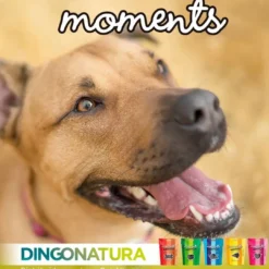 Sale Moments hundesnack Puppy 60 g - blød træning til hvalpe Snacks Til Hvalpe - Lækre Godbidder Til Træning Og Forkælelse|Hundeguf Og Tyggeben Til Hunde