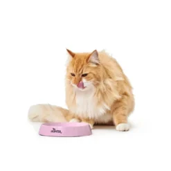 Clearance Moulins melamin katteskål Pink Mad- Og Vandskåle Til Katte