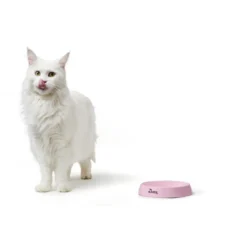 Clearance Moulins melamin katteskål Pink Mad- Og Vandskåle Til Katte