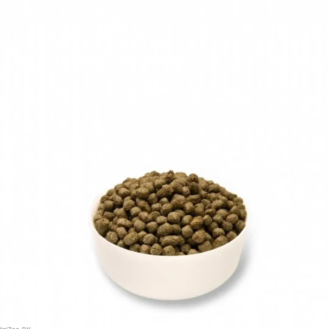 Online Mr Johnson Advance Junior Kaninfoder 1,5 kg Foder & Snack Til Gnavere & Kanin