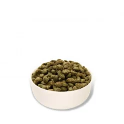 Online Mr Johnson Marsvinefoder Advance Guinea Pig 10 kg Foder & Snack Til Gnavere & Kanin