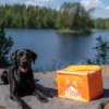 New termotaske til frossent Barf hundefoder med skulderrem Hundefoder