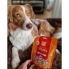 Online Treat Kylling 55 g - naturlige godbidder til hunde Snacks Til Hvalpe - Lækre Godbidder Til Træning Og Forkælelse|Kattefoder & Snacks