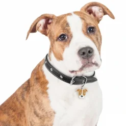 Online Friends Amerikansk Pitbullterrier Rød Hundetegn Til Hvalpe - Sikkerhed Og Tryghed Hvis Hvalpen Løber Væk|Hundetegn Og Smykker Med Stil Og Sikkerhed