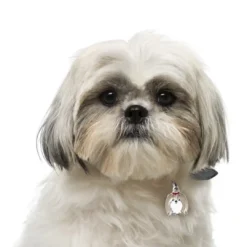 Discount Friends Shih Tzu Grå Hundetegn Til Hvalpe - Sikkerhed Og Tryghed Hvis Hvalpen Løber Væk|Hundetegn Og Smykker Med Stil Og Sikkerhed