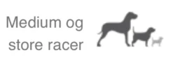 Natura Diet Daily hundefoder 3 kg - Naturligt tørfoder med kylling og ris Hundefoder|Tørfoder Til Hunde I Alle Størrelser Og Aldre