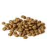 Best Natura Diet Puppy Starter Hvalpefoder 500 g Hundefoder|Tørfoder Til Hunde I Alle Størrelser Og Aldre