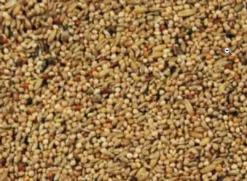 Hot Natural Original Undulat Avl Spec. 20 kg Fuglefoder