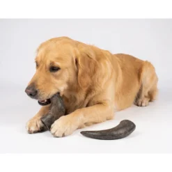 Discount NATURE Snack Horn Small 2pcs Naturlige tyggeben til hunde Hundeguf Og Tyggeben Til Hunde