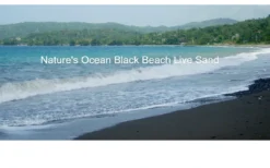 Sale Live Hawaii Black Beach Sand 9,07 kg 0,5-1,7 mm Dekoration Til Saltvand