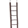 Clearance Naturtræ stige 5 trin 26 cm Bundlag Og Udstyr Til Fuglebure