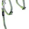 New Nightcat Kattesele og Linesæt 8 mm Lime Swallows Kattehalsbånd Og Katteseler