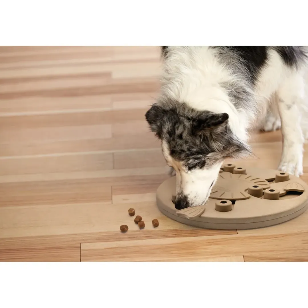 Discount Dog Worker - aktivitetslegetøj til hunde niveau 3 Hundelegetøj Til Alle Hunde Leg Og Aktivering Året Rundt|Legetøj Til Hvalpe - Sjov Leg, Aktivering Og Tryghed Fra Første Dag