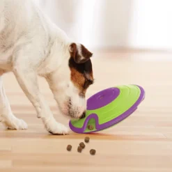 Clearance Maze Niveau 2 - aktivitetslegetøj til hunde Hundelegetøj Til Alle Hunde Leg Og Aktivering Året Rundt|Legetøj Til Hvalpe - Sjov Leg, Aktivering Og Tryghed Fra Første Dag