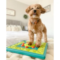 Online Multipuzzle Niveau 4 - udfordrende aktivitetslegetøj til hunde Hundelegetøj Til Alle Hunde Leg Og Aktivering Året Rundt|Legetøj Til Hvalpe - Sjov Leg, Aktivering Og Tryghed Fra Første Dag