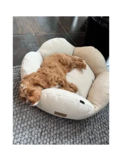 Hot Flora hundeseng Medium 75 x 75 cm Beige Hundesenge Og Kurve Til Hunde - Bløde Og Komfortable