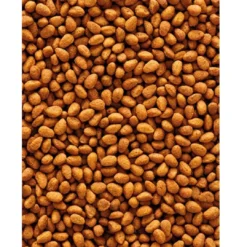 Online Nutribird G 14 Original Parakit 1 kg Fuglefoder
