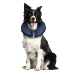 Best Oppustelig halskrave M 25-40 cm Hundetilbehør Til Hvalpe - Tryg Start I Hverdagen|Tilbehør Til Hund - Alt Til En Glad Og Tryg Hverdag For Din Bedste Ven