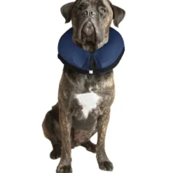 Hot Oppustelig halskrave XL 60-80 cm Hundetilbehør Til Hvalpe - Tryg Start I Hverdagen|Tilbehør Til Hund - Alt Til En Glad Og Tryg Hverdag For Din Bedste Ven