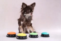 Discount Optag knap til hunde og katte - interaktiv læring til kæledyr Hundelegetøj Til Alle Hunde Leg Og Aktivering Året Rundt|Legetøj Til Hvalpe - Sjov Leg, Aktivering Og Tryghed Fra Første Dag