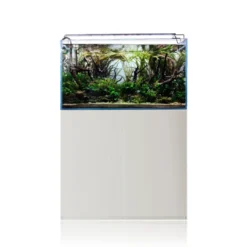 Clearance Optical White Glas Akvarium 230 Liter Akvarier Til Saltvandsfisk|Akvarier