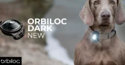 hundelygte Dark Sort Hundetilbehør Til Hvalpe - Tryg Start I Hverdagen|Tilbehør Til Hund - Alt Til En Glad Og Tryg Hverdag For Din Bedste Ven