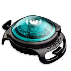 Clearance hundelygte Turquoise Hundetilbehør Til Hvalpe - Tryg Start I Hverdagen|Tilbehør Til Hund - Alt Til En Glad Og Tryg Hverdag For Din Bedste Ven