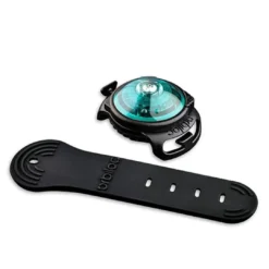 Clearance hundelygte Turquoise Hundetilbehør Til Hvalpe - Tryg Start I Hverdagen|Tilbehør Til Hund - Alt Til En Glad Og Tryg Hverdag For Din Bedste Ven