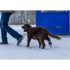 Sale hundesokker L sort - bløde sokker til store hundepoter Hundetøj Til Hvalpe - Varme Dækkener Og Sko Til Trygge Gåture|Hundetøj Til Alle Hunde Med Varme Dækkener Og Sko