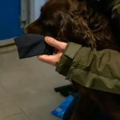 Sale hundesokker L sort - bløde sokker til store hundepoter Hundetøj Til Hvalpe - Varme Dækkener Og Sko Til Trygge Gåture|Hundetøj Til Alle Hunde Med Varme Dækkener Og Sko