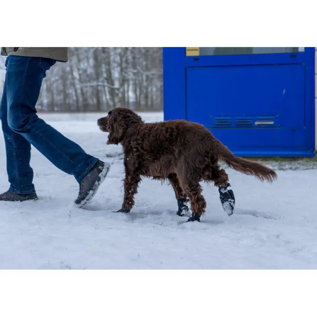 Hot hundesokker M sort - 4 stk til små hundepoter Hundetøj Til Hvalpe - Varme Dækkener Og Sko Til Trygge Gåture|Hundetøj Til Alle Hunde Med Varme Dækkener Og Sko