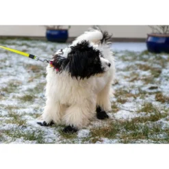 Clearance hundesokker XXS sort - beskytter små poter Hundetøj Til Hvalpe - Varme Dækkener Og Sko Til Trygge Gåture|Hundetøj Til Alle Hunde Med Varme Dækkener Og Sko