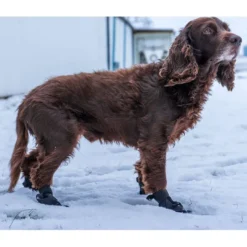 Clearance hundesokker XXS sort - beskytter små poter Hundetøj Til Hvalpe - Varme Dækkener Og Sko Til Trygge Gåture|Hundetøj Til Alle Hunde Med Varme Dækkener Og Sko