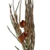 Sale Palme ris Terrarium dekoration Dekoration Til Terrarier
