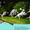 Discount Boldgevær til tennisbolde - sjovt hundelegetøj til apport Hundelegetøj Til Alle Hunde Leg Og Aktivering Året Rundt|Legetøj Til Hvalpe - Sjov Leg, Aktivering Og Tryghed Fra Første Dag