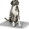 Sale Hvalpeunderlag med Carbon 60 x 90 cm Plejemidler Til Hund Med Fokus På Sundhed Og Velvære|Pleje Af Hvalpe - Alt I Plejemidler Til Pels, Poter Og Hud