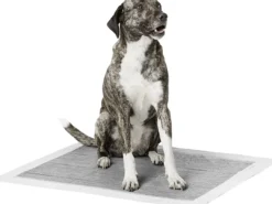 Sale Hvalpeunderlag med Carbon 60 x 90 cm Plejemidler Til Hund Med Fokus På Sundhed Og Velvære|Pleje Af Hvalpe - Alt I Plejemidler Til Pels, Poter Og Hud