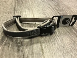 Best Hundehalsbånd i Neopren Grå S - blødt hundehalsbånd i neopren Hvalpehalsbånd - Bløde Og Sikre Halsbånd Med Perfekt Pasform Til Din Hvalp|Hundehalsbånd Med Stil - Komfort Og Sikkerhed Til Din Hund