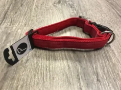 Discount Hundehalsbånd i Neopren Rød L - slidstærkt halsbånd til hunde Hvalpehalsbånd - Bløde Og Sikre Halsbånd Med Perfekt Pasform Til Din Hvalp|Hundehalsbånd Med Stil - Komfort Og Sikkerhed Til Din Hund
