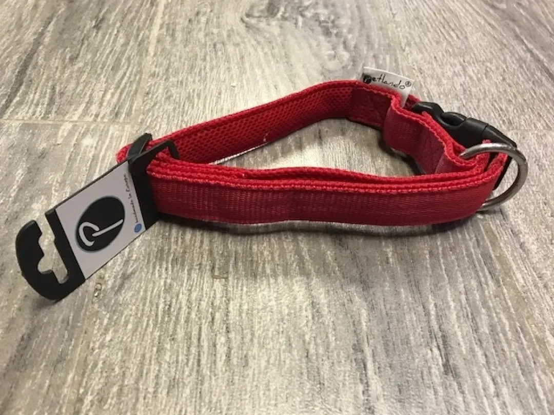 Discount Hundehalsbånd i Neopren Rød L - slidstærkt halsbånd til hunde Hvalpehalsbånd - Bløde Og Sikre Halsbånd Med Perfekt Pasform Til Din Hvalp|Hundehalsbånd Med Stil - Komfort Og Sikkerhed Til Din Hund