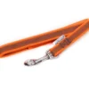 Discount Sporeline 10 m i orange Hundesnor I Mange Varianter Og Materialer|Hundesnor Til Hvalpe