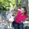 Discount Vibration Remote Trainer 100 m Tilbehør Til Hund - Alt Til En Glad Og Tryg Hverdag For Din Bedste Ven