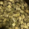 Hot Testudo Herbs Original 1 kg Foder & Vitaminer Til Krybdyr