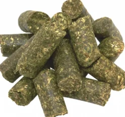 Testudo Original 20 kg Foder & Vitaminer Til Krybdyr