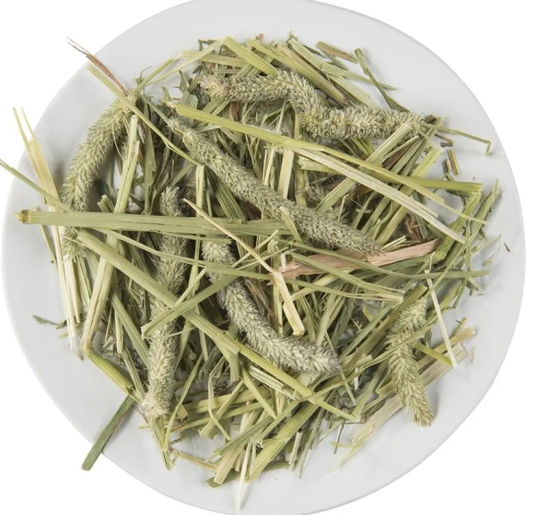 Best Puur Timothy Hø 500 g Foder & Snack Til Gnavere & Kanin