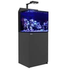 Online Red Sea Akvariesæt Max E-170 Sort Akvarier Til Saltvandsfisk|Akvarier