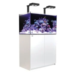 Clearance Red Sea Akvarium Reefer Deluxe Hvid 250 Akvarier Til Saltvandsfisk|Akvarier