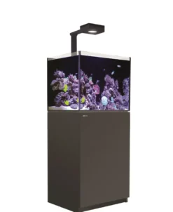 Online Red Sea Akvarium Reefer Deluxe Sort 170 Akvarier Til Saltvandsfisk|Akvarier