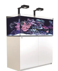 Online Red Sea Akvarium Reefer Deluxe XL Hvid 425 Akvarier Til Saltvandsfisk|Akvarier
