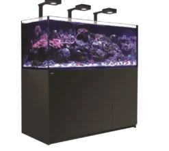 Discount Red Sea Akvarium Reefer Deluxe XXL Sort 625 Akvarier Til Saltvandsfisk|Akvarier